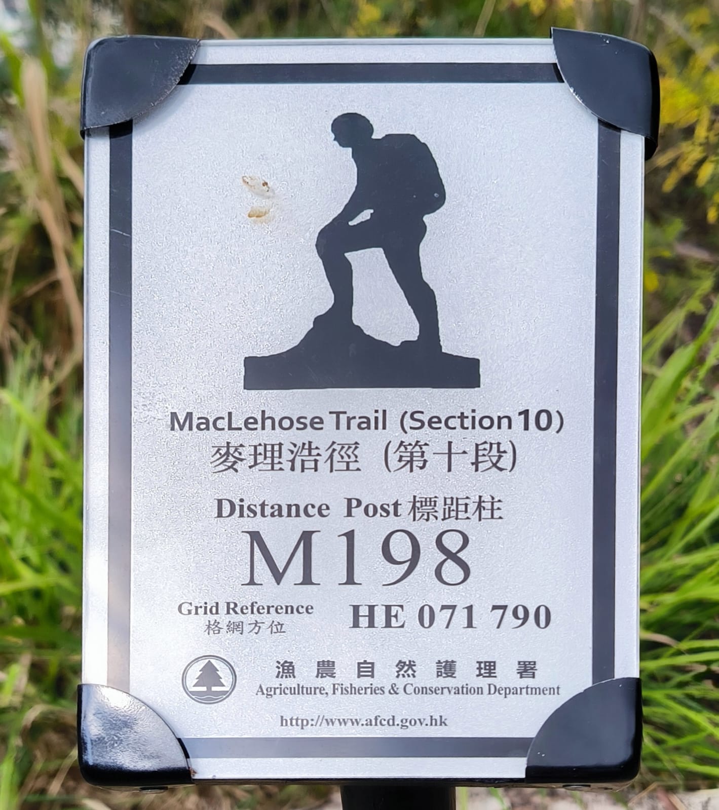 【Purchase Over NT$1200 - NT$65 Add On】Camping Cup (Cannot be used in conjunction with other add-on offers.)